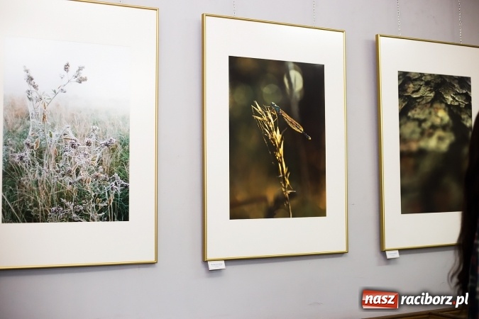 Zdjęcie w galerii na portalu naszraciborz.pl: Liceum Plastyczne i Kontrasty w Galerii Gawra wiadomości z regionu