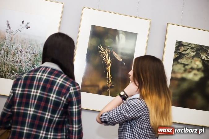 Zdjęcie w galerii na portalu naszraciborz.pl: Liceum Plastyczne i Kontrasty w Galerii Gawra wiadomości z regionu