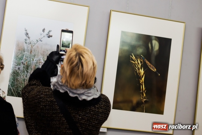 Zdjęcie w galerii na portalu naszraciborz.pl: Liceum Plastyczne i Kontrasty w Galerii Gawra wiadomości z regionu