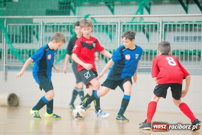 Zdjęcie w galerii na portalu naszraciborz.pl: Ostateczne rozstrzygnięcia w Zimowej Lidze Orlików. MKP Odra Centrum pierwsza, zespoły z powiatu na podium wiadomości z regionu