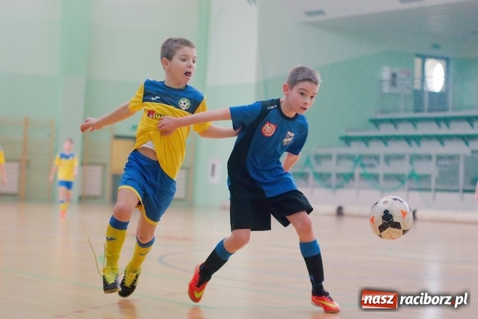 Zdjęcie w galerii na portalu naszraciborz.pl: Ostateczne rozstrzygnięcia w Zimowej Lidze Orlików. MKP Odra Centrum pierwsza, zespoły z powiatu na podium wiadomości z regionu