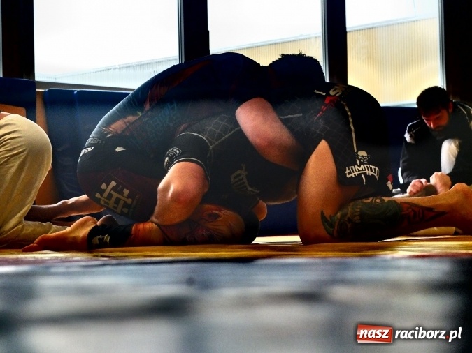 Zdjęcie w galerii na portalu naszraciborz.pl: Międzynarodowe spotkanie sparingowe w Łamatorze wiadomości z regionu