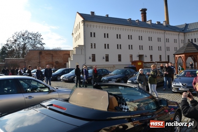 Zdjęcie w galerii na portalu naszraciborz.pl: Zlot miłośników Alf Romeo na zamku za nami wiadomości z regionu