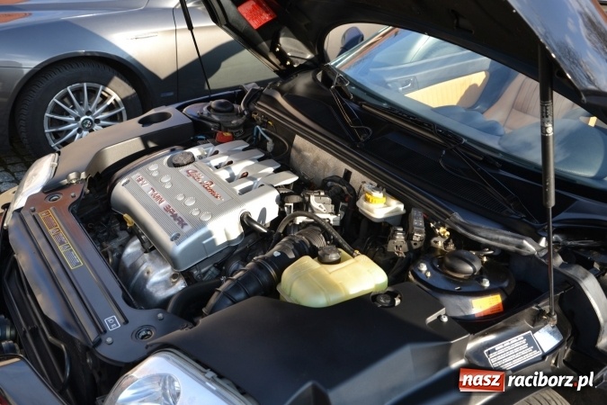 Zdjęcie w galerii na portalu naszraciborz.pl: Zlot miłośników Alf Romeo na zamku za nami wiadomości z regionu