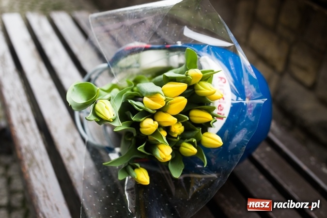 Zdjęcie w galerii na portalu naszraciborz.pl: Kwiaty na Dzień Kobiet od Raptors Racibórz wiadomości z regionu