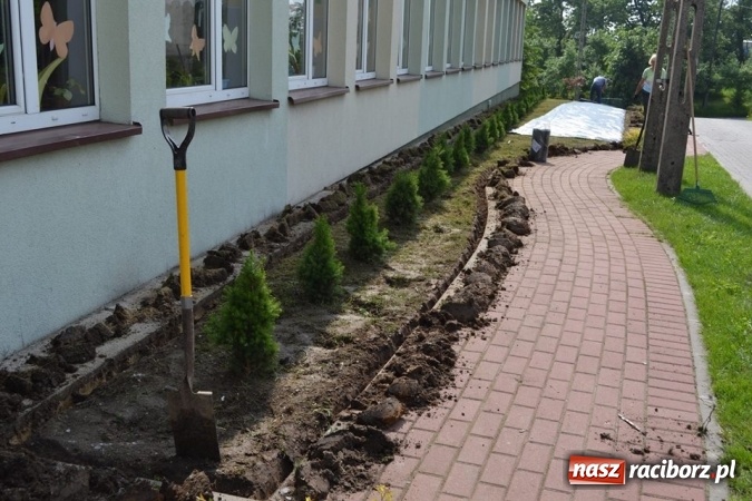 Zdjęcie w galerii na portalu naszraciborz.pl: Szkoła w Szonowicach przystępuje do kolejnej edycji projektu Posadź swoje drzewko  wiadomości z regionu
