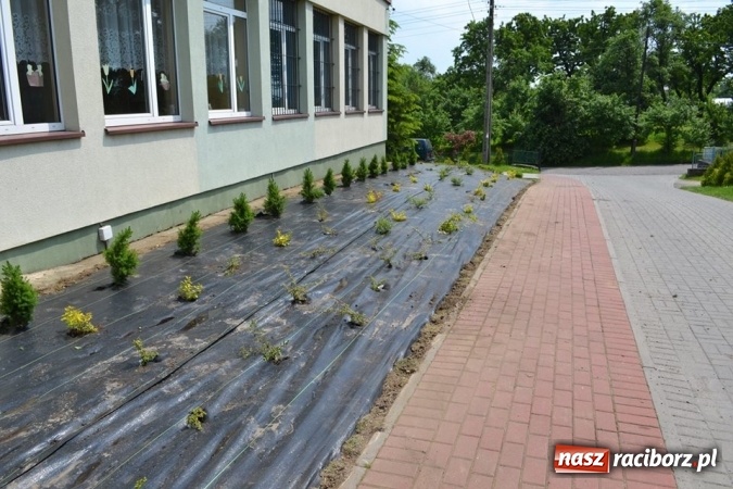 Zdjęcie w galerii na portalu naszraciborz.pl: Szkoła w Szonowicach przystępuje do kolejnej edycji projektu Posadź swoje drzewko  wiadomości z regionu