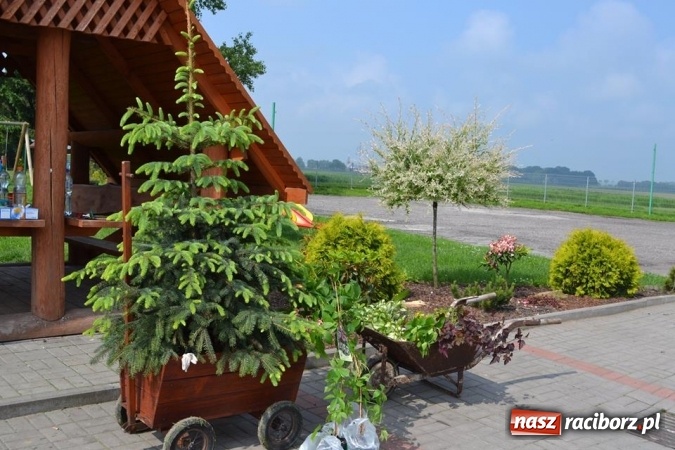 Zdjęcie w galerii na portalu naszraciborz.pl: Szkoła w Szonowicach przystępuje do kolejnej edycji projektu Posadź swoje drzewko  wiadomości z regionu