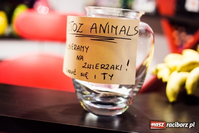 Zdjęcie w galerii na portalu naszraciborz.pl: Dzień Kobiet w Endorfinie pełen ćwiczeń i uśmiechu! wiadomości z regionu