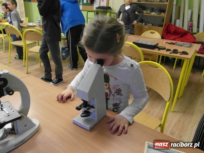 Zdjęcie w galerii na portalu naszraciborz.pl: Bezpłatna oferta dla sześciolatków w Szkole Podstawowej nr 1  wiadomości z regionu