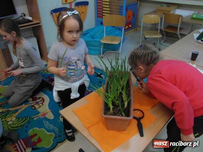 Zdjęcie w galerii na portalu naszraciborz.pl: Bezpłatna oferta dla sześciolatków w Szkole Podstawowej nr 1  wiadomości z regionu