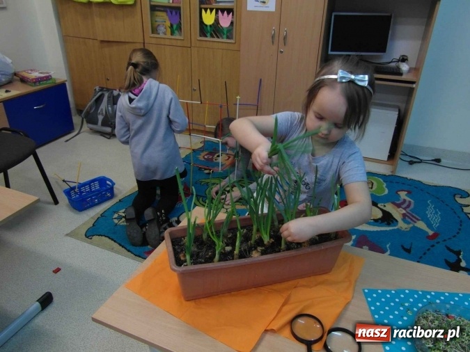 Zdjęcie w galerii na portalu naszraciborz.pl: Bezpłatna oferta dla sześciolatków w Szkole Podstawowej nr 1  wiadomości z regionu