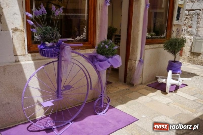 Zdjęcie w galerii na portalu naszraciborz.pl: Zaplanuj wakacje w Chorwacji! wiadomości z regionu