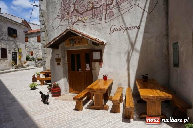 Zdjęcie w galerii na portalu naszraciborz.pl: Zaplanuj wakacje w Chorwacji! wiadomości z regionu