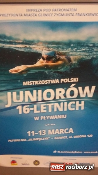 Zdjęcie w galerii na portalu naszraciborz.pl: Pływanie: Dawid Dziedzic i Dorian Bachlaj z medalami wiadomości z regionu