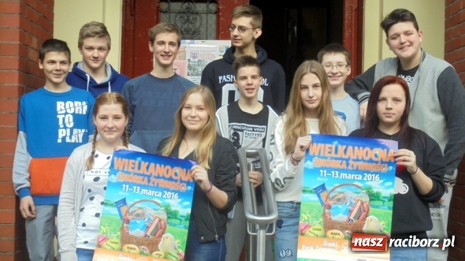 Zdjęcie w galerii na portalu naszraciborz.pl: Wolontariusze z Gimnazjum nr 5 pomagali w Zbi&oacute;rce Żywności wiadomości z regionu