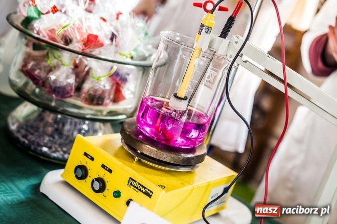 Zdjęcie w galerii na portalu naszraciborz.pl: Targi Pracy i Edukacji w Budowlance - fotoreportaż wiadomości z regionu