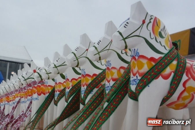 Zdjęcie w galerii na portalu naszraciborz.pl: Cudze chwalicie, swojego nie znacie, czyli z Tworkowa na Vasaloppet wiadomości z regionu