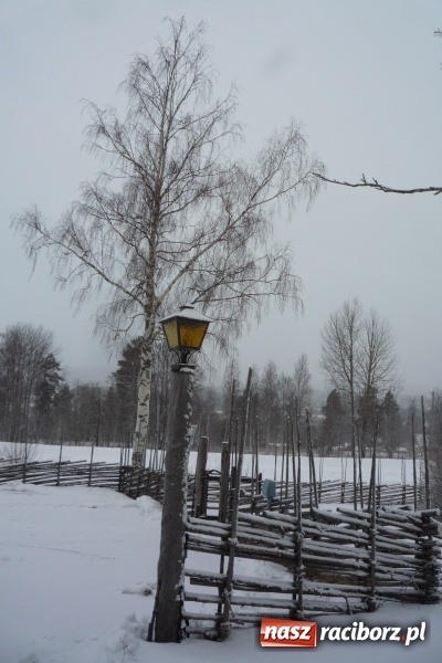 Zdjęcie w galerii na portalu naszraciborz.pl: Cudze chwalicie, swojego nie znacie, czyli z Tworkowa na Vasaloppet wiadomości z regionu