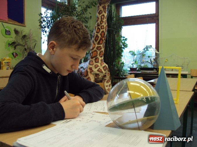 Zdjęcie w galerii na portalu naszraciborz.pl: Laureat Wojew&oacute;dzkiego Konkursu Matematycznego z SP 3 wiadomości z regionu
