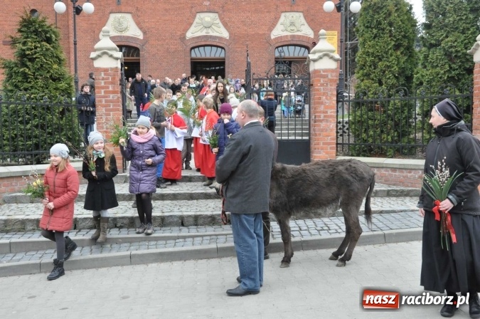 Zdjęcie w galerii na portalu naszraciborz.pl: Dziś Niedziela Palmowa. W Kościele katolickim początek Wielkiego Tygodnia wiadomości z regionu