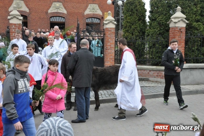 Zdjęcie w galerii na portalu naszraciborz.pl: Dziś Niedziela Palmowa. W Kościele katolickim początek Wielkiego Tygodnia wiadomości z regionu
