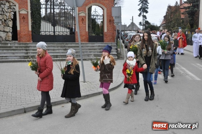 Zdjęcie w galerii na portalu naszraciborz.pl: Dziś Niedziela Palmowa. W Kościele katolickim początek Wielkiego Tygodnia wiadomości z regionu