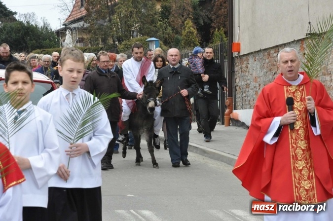 Zdjęcie w galerii na portalu naszraciborz.pl: Dziś Niedziela Palmowa. W Kościele katolickim początek Wielkiego Tygodnia wiadomości z regionu