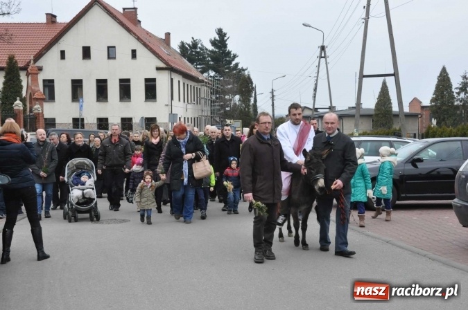 Zdjęcie w galerii na portalu naszraciborz.pl: Dziś Niedziela Palmowa. W Kościele katolickim początek Wielkiego Tygodnia wiadomości z regionu