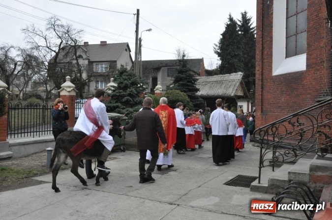 Zdjęcie w galerii na portalu naszraciborz.pl: Dziś Niedziela Palmowa. W Kościele katolickim początek Wielkiego Tygodnia wiadomości z regionu