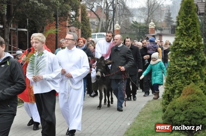Zdjęcie w galerii na portalu naszraciborz.pl: Dziś Niedziela Palmowa. W Kościele katolickim początek Wielkiego Tygodnia wiadomości z regionu