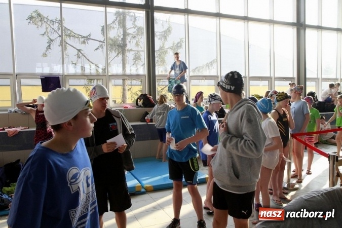 Zdjęcie w galerii na portalu naszraciborz.pl: Pływanie. Młodzicy z Raciborza na podium  wiadomości z regionu