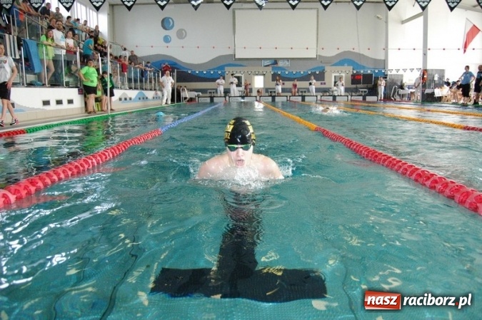 Zdjęcie w galerii na portalu naszraciborz.pl: Pływanie. Młodzicy z Raciborza na podium  wiadomości z regionu