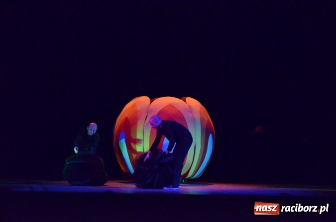 Zdjęcie w galerii na portalu naszraciborz.pl: Teatr Lalek Banialuka wystawił Calineczkę na deskach RCK  wiadomości z regionu