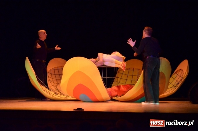 Zdjęcie w galerii na portalu naszraciborz.pl: Teatr Lalek Banialuka wystawił Calineczkę na deskach RCK  wiadomości z regionu