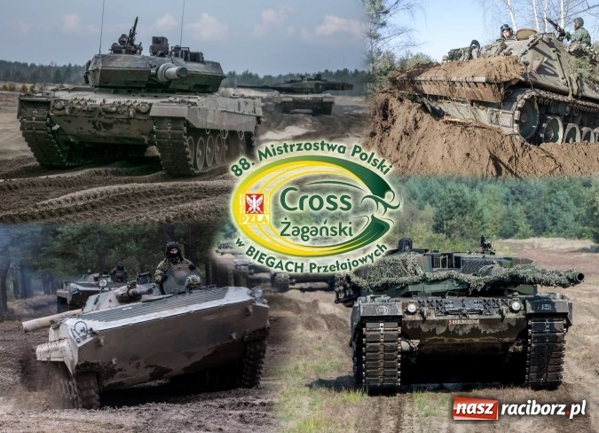 Zdjęcie w galerii na portalu naszraciborz.pl: 88. Mistrzostwa Polski w biegach przełajowych udane dla Ani Szyjki wiadomości z regionu