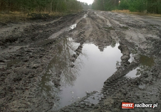 Zdjęcie w galerii na portalu naszraciborz.pl: 88. Mistrzostwa Polski w biegach przełajowych udane dla Ani Szyjki wiadomości z regionu