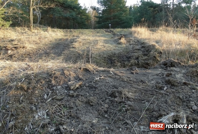 Zdjęcie w galerii na portalu naszraciborz.pl: 88. Mistrzostwa Polski w biegach przełajowych udane dla Ani Szyjki wiadomości z regionu