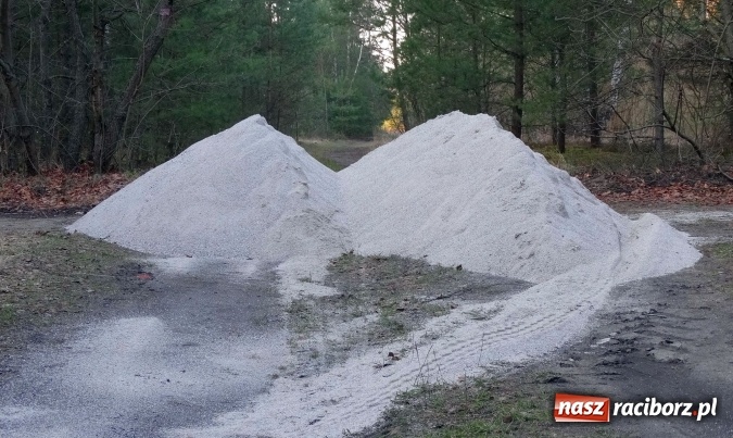 Zdjęcie w galerii na portalu naszraciborz.pl: 88. Mistrzostwa Polski w biegach przełajowych udane dla Ani Szyjki wiadomości z regionu