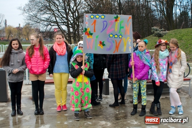 Zdjęcie w galerii na portalu naszraciborz.pl: Wiosna radosna na bulwarach i przystani wiadomości z regionu