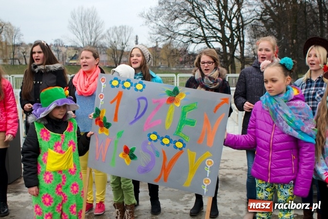 Zdjęcie w galerii na portalu naszraciborz.pl: Wiosna radosna na bulwarach i przystani wiadomości z regionu