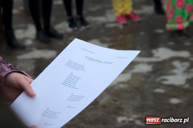 Zdjęcie w galerii na portalu naszraciborz.pl: Wiosna radosna na bulwarach i przystani wiadomości z regionu