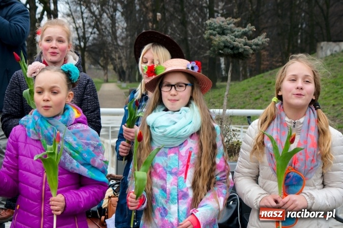 Zdjęcie w galerii na portalu naszraciborz.pl: Wiosna radosna na bulwarach i przystani wiadomości z regionu