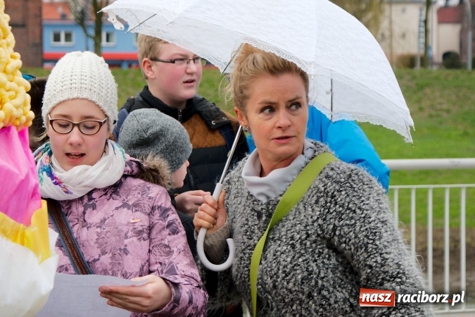 Zdjęcie w galerii na portalu naszraciborz.pl: Wiosna radosna na bulwarach i przystani wiadomości z regionu