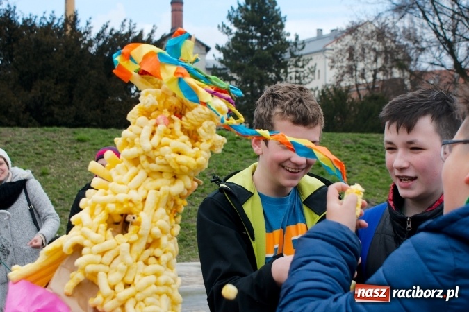Zdjęcie w galerii na portalu naszraciborz.pl: Wiosna radosna na bulwarach i przystani wiadomości z regionu