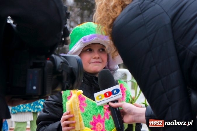 Zdjęcie w galerii na portalu naszraciborz.pl: Wiosna radosna na bulwarach i przystani wiadomości z regionu