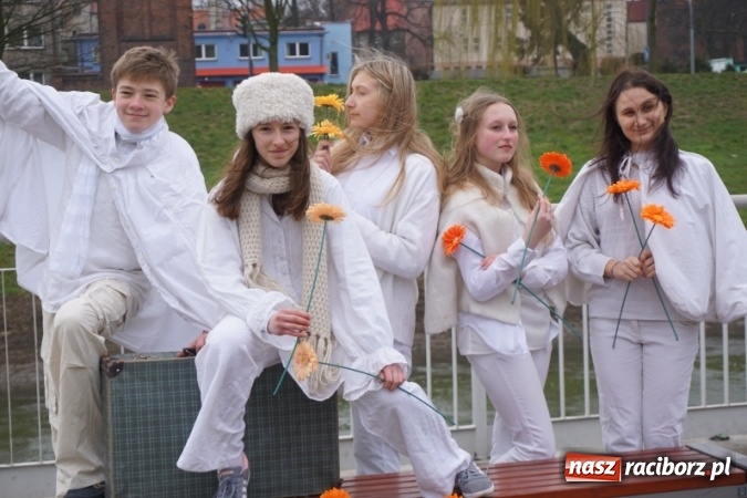 Zdjęcie w galerii na portalu naszraciborz.pl: Wiosna radosna na bulwarach i przystani wiadomości z regionu