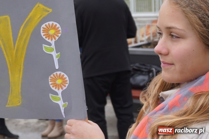 Zdjęcie w galerii na portalu naszraciborz.pl: Wiosna radosna na bulwarach i przystani wiadomości z regionu