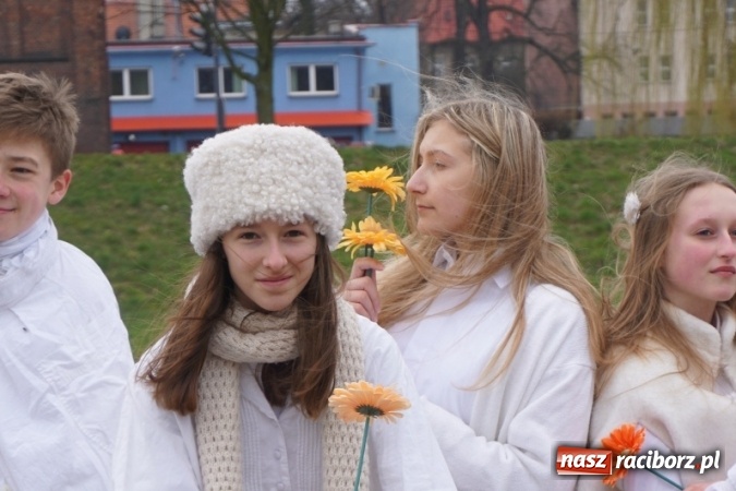 Zdjęcie w galerii na portalu naszraciborz.pl: Wiosna radosna na bulwarach i przystani wiadomości z regionu