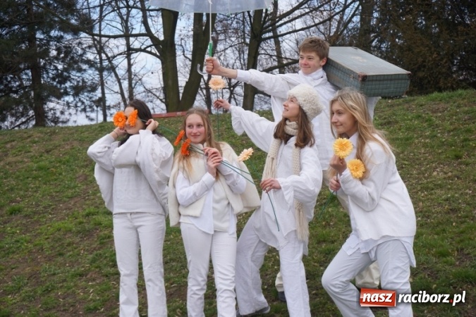 Zdjęcie w galerii na portalu naszraciborz.pl: Wiosna radosna na bulwarach i przystani wiadomości z regionu